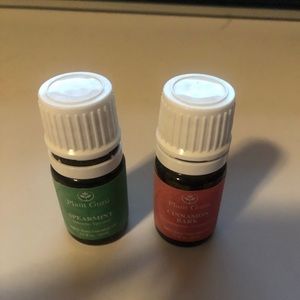 Spearmint and Cinnamon Bark Essential Oils